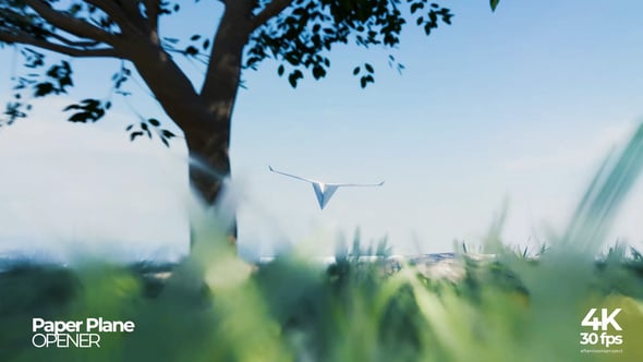 preview_image (12).jpg