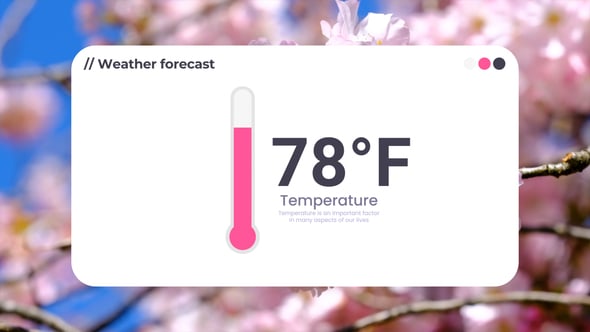 Preview_Image (13).jpg