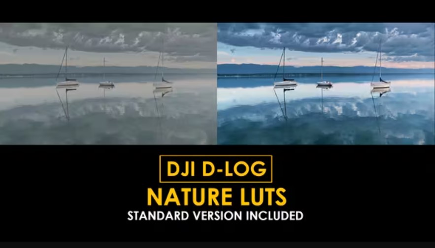 Screenshot 2024-02-28 123403.jpg