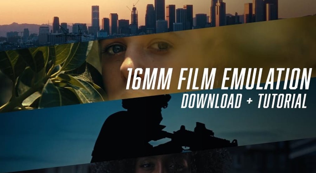 Screenshot 2024-06-12 120045.jpg