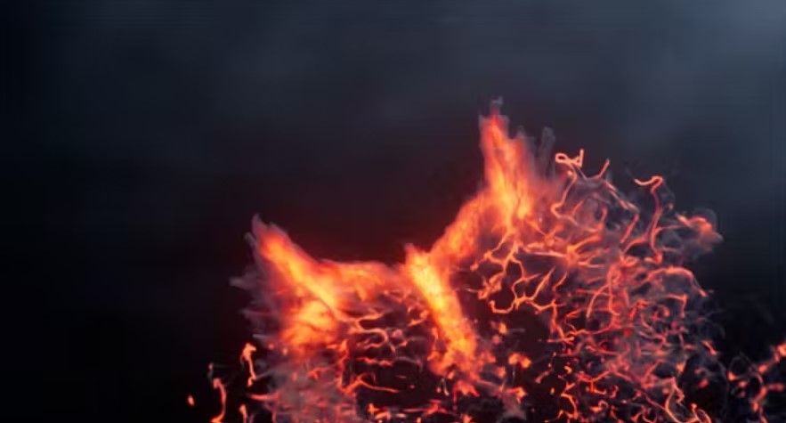 Screenshot 2024-08-01 113500.jpg