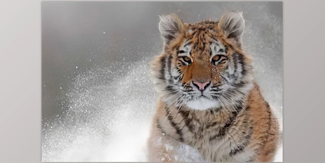 Screenshot 2024-10-31 132132.png