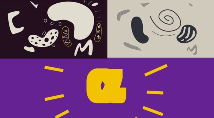 Screenshot 2024-11-27 112904.jpg