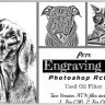 Enhance Your Images with Free Pets Engraving Art Photoshop Action - 92032571