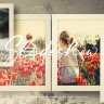 Storytelling with Frames Galore - Free Videohive 34104669 Photo Slideshow