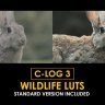 Elevate Your Edits with Free GFXInspire C-Log3 Wildlife and Standard Color LUTs