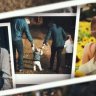 Free Videohive 51952428 Memorial Photo Slideshow, GFXInspire
