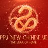 Free Videohive 56094931 Chinese New Year 2025 | Year of the Snake Template