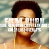 Free Videohive 56133957 Vintage Film Burn Light Leak and 30+ Luts Overlays | PP