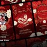 Free Videohive 56130721 Social Media Reels – Chinese New Year After Effects Project Files