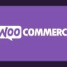 [Premium] WooCommerce Smart Coupons v9.27.0