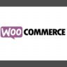 [Premium] WooCommerce Stripe Gateway v9.4.1