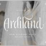 [Premium] Font Bros - Ardiland Font