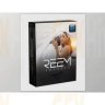 [Premium] Reem Photography - REEM Presets