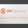 [Premium] WP Optimize Premium v4.2.3