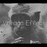 Free Videohive 61545811 Vintage Effect