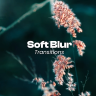 Free Soft Blur Transitions – Smooth Cinematic Transition Effects After Effects Template